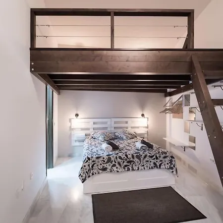 Spacious Loft In The Historic Center