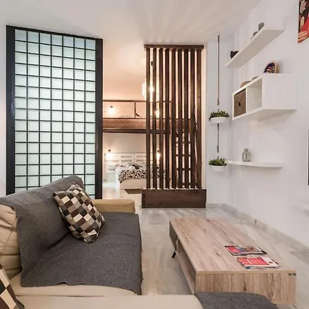 Spacious Loft In The Historic Center Málaga